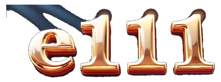 e111 logo